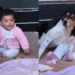“Ela ama animais”: Família se distrai por um minuto e encontra bebê cercada por cachorra desconhecida em chalé