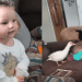 Menina de 3 anos reúne animais da fazenda na sala para brincar de escolinha e acomoda pato, galinha, coelho e ovelhas no sofá como seus alunos