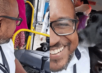 Pretinha: a cadela comunitária que transforma a rotina de um motorista em puro amor todos os dias