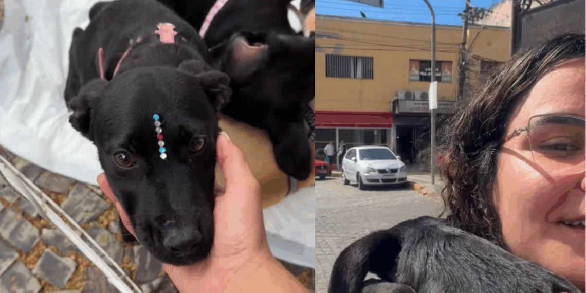 Jovem sai para fazer as unhas e volta com cadela deixada para trás em feira: "Só tinha sobrado ela"