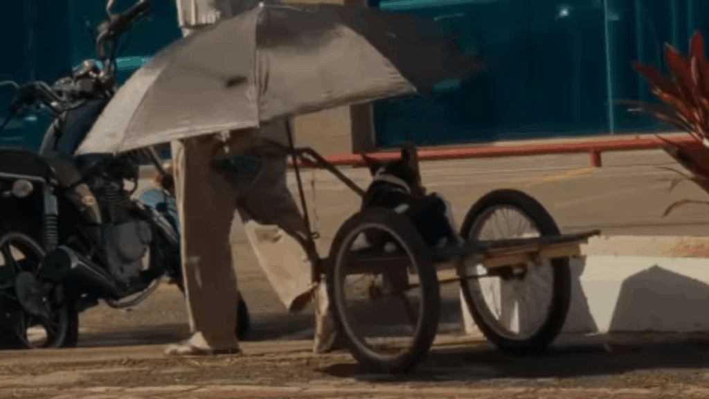 “O amor mora justamente nos detalhes”: senhor cria carrinho para passear com cão e comove a web