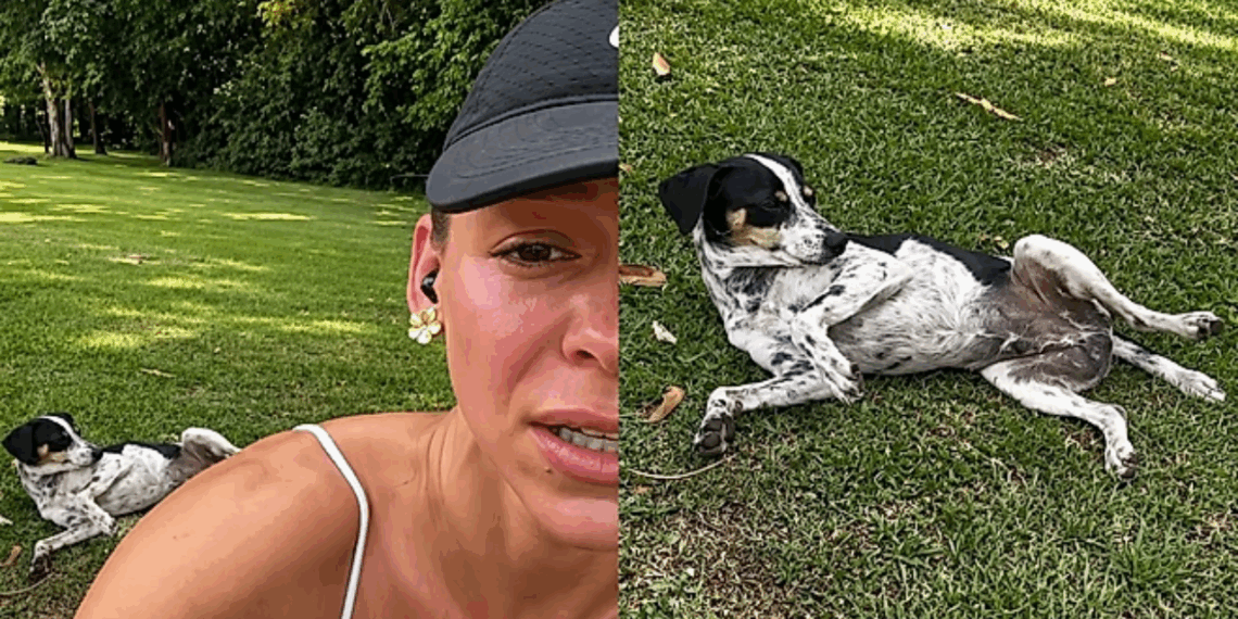 "Era vocês que eu estava procurando": vira-latinha segue casal durante corrida e decide quem seria sua família