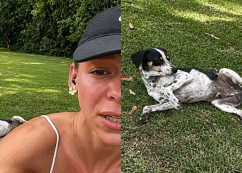 "Era vocês que eu estava procurando": vira-latinha segue casal durante corrida e decide quem seria sua família
