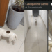 “A fujona oficial do condomínio”: Cachorrinha aventureira vira celebridade local e aterroriza a tutora toda vez que o celular apita