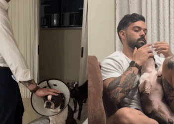 “Ele será um bom pai”: Médica viraliza ao mostrar como o marido trata o cachorro