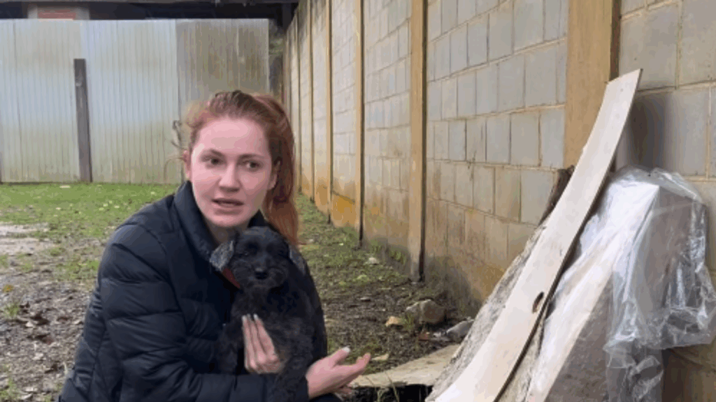 Protetora sai para resgatar cão doente, cruza com cadela faminta e salva 14 vidas: “Literalmente pediu socorro”