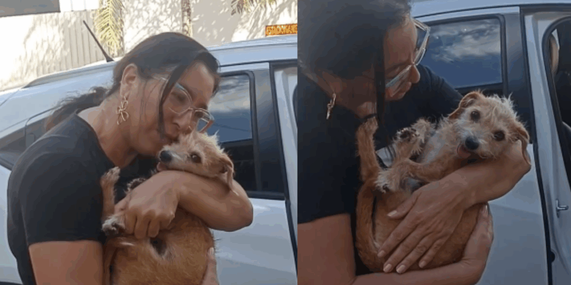 Resgatada das ruas e hoje estrela da web: gatinha ou cachorrinha? Fofuchinha usa olhar pidão para ganhar comida extra