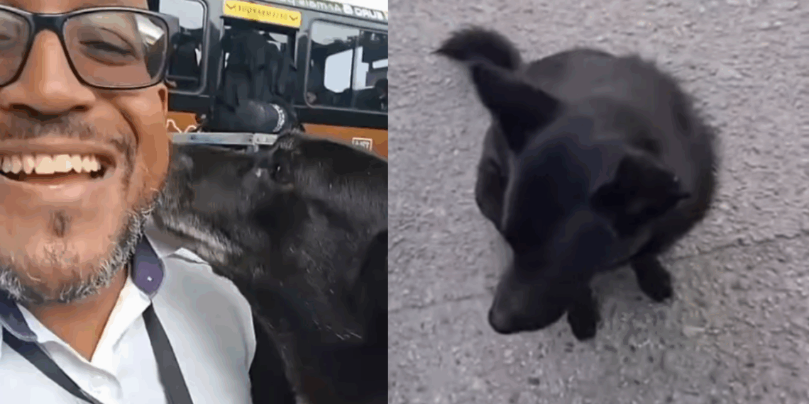 “Cadê o amor da minha vida?”: Motorista se alegra ao reencontrar cadela no ponto