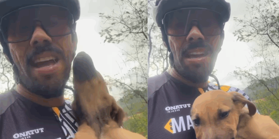 Ciclista salva filhote por um triz de carreta em rodovia: "Esse é meu agora"