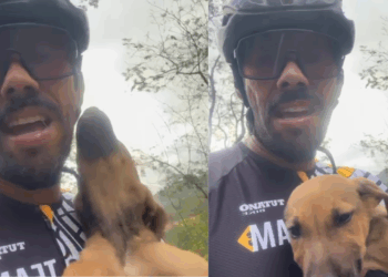 Ciclista salva filhote por um triz de carreta em rodovia: "Esse é meu agora"