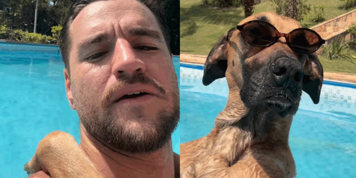 “Recado para quem me abandonou”: Cachorra gigantona com óculos escuros em piscina viraliza e diverte a internet