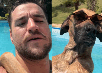 “Recado para quem me abandonou”: Cachorra gigantona com óculos escuros em piscina viraliza e diverte a internet
