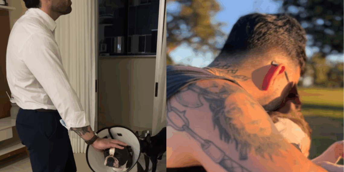 Esposa mostra cuidado do marido com o cão e aponta por que ele será um bom pai: "Pura dedicação"