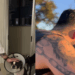 Esposa mostra cuidado do marido com o cão e aponta por que ele será um bom pai: "Pura dedicação"