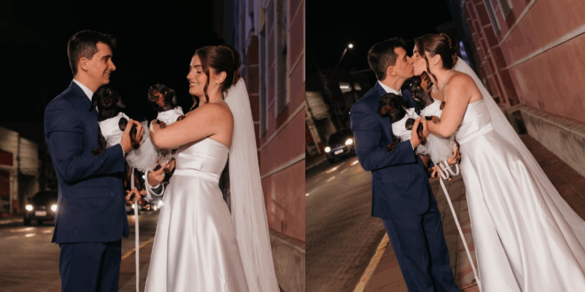 Inspirado no pet de Charles Leclerc, casal tenta ensaio com dachshunds mas "salsichinhas" causam bagunça