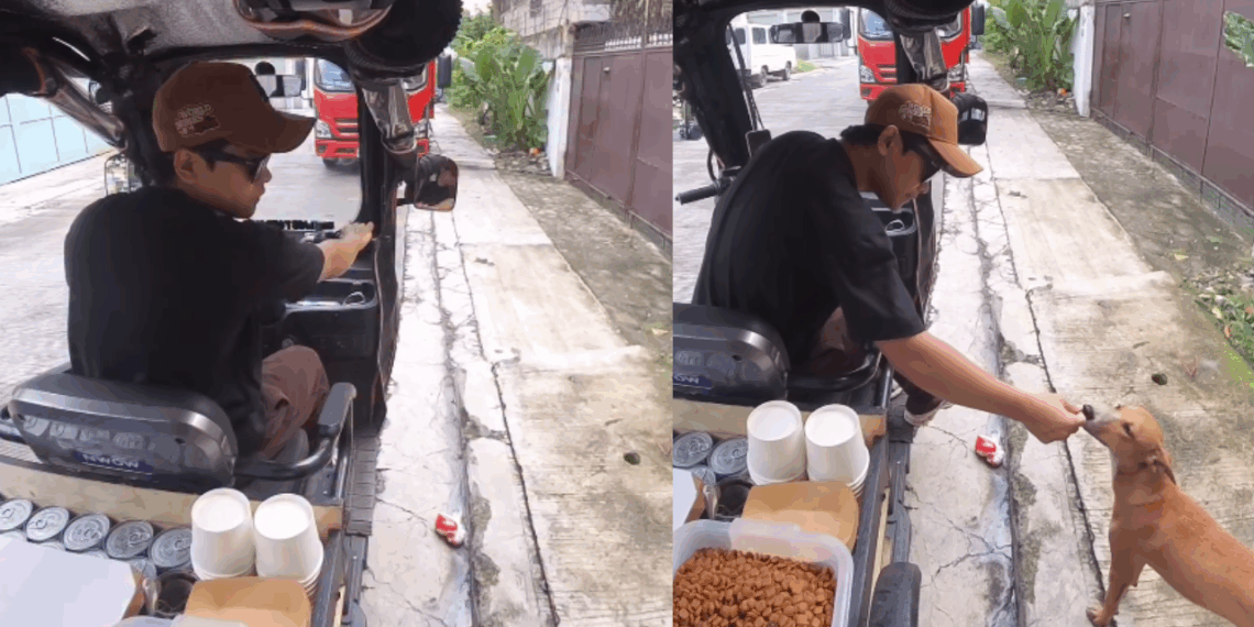 “Uma tigela de cada vez”: De dias difíceis à corrente do bem: como a compaixão pelos animais salvou a vida de um jovem nas Filipinas