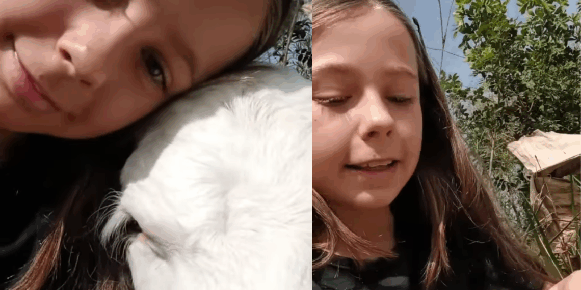 "Mãe, esse é o Bento": menina ganha R$ 50 por bom comportamento e volta para casa com bezerro