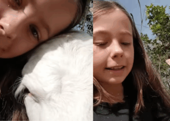 "Mãe, esse é o Bento": menina ganha R$ 50 por bom comportamento e volta para casa com bezerro