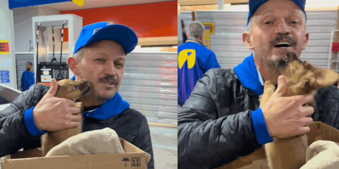 "Mil lambeijos": Frentista mostra carinho de filhote caramelo abandonado em estrada
