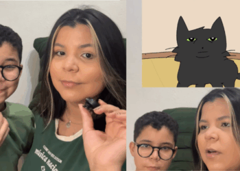 "Estratégia de artista": menino cria animação sobre travessuras felinas para convencer pais a adotar gatinho