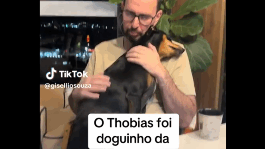 O destino bateu duas vezes: Thobias e Lucca, os cães idênticos que escolheram a mesma família em Cascavel