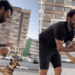 A emocionante história por trás das coleiras refletivas cães de rua que virou exemplo de empatia no Brasil