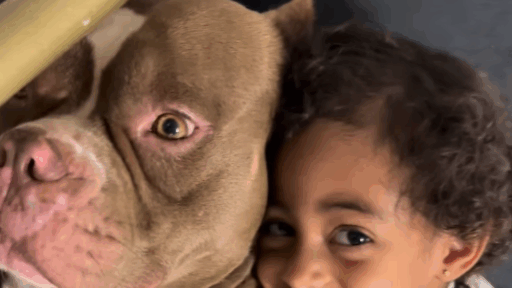 “Tá bom, gente”: Cães gigantes inventam ritual infalível para tirar garotinha da cama todas as manhãs
