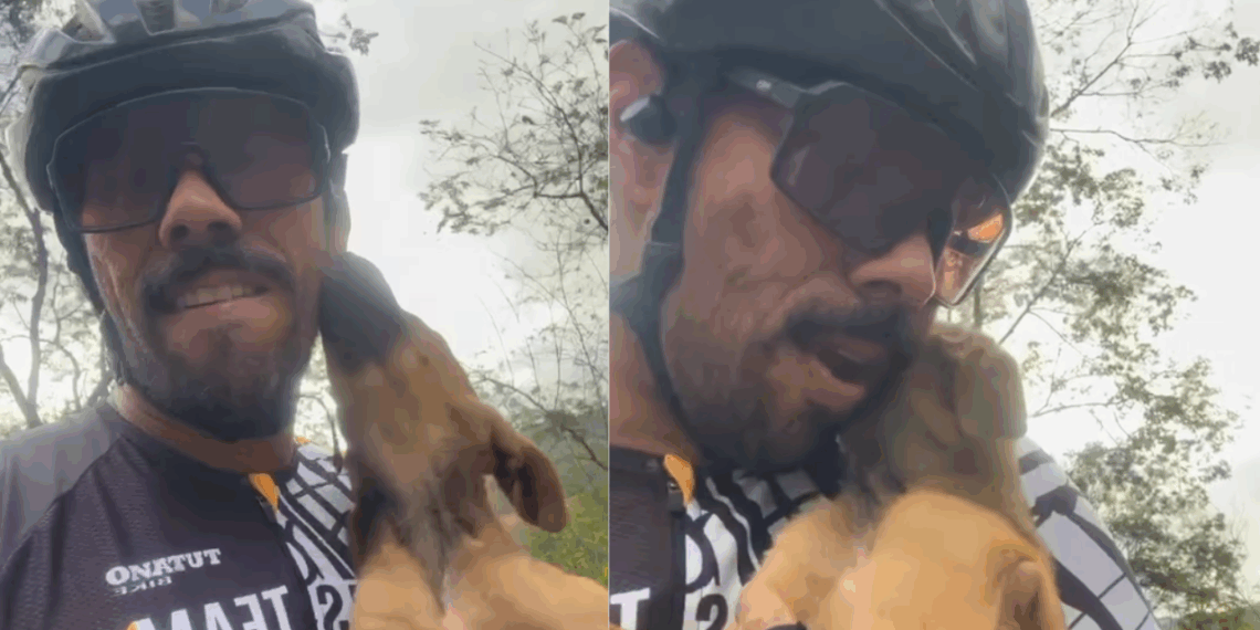 "Choro de alívio": filhote de choro tocante é salvo por ciclista em rodovia de Minas Gerais