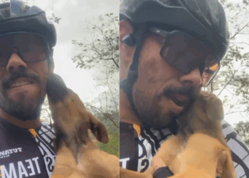"Choro de alívio": filhote de choro tocante é salvo por ciclista em rodovia de Minas Gerais