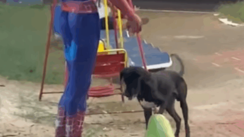 Cão é flagrado convidando estátua de pedra para brincar, até dono perceber o que estava faltando: "Ele queria um amigo"