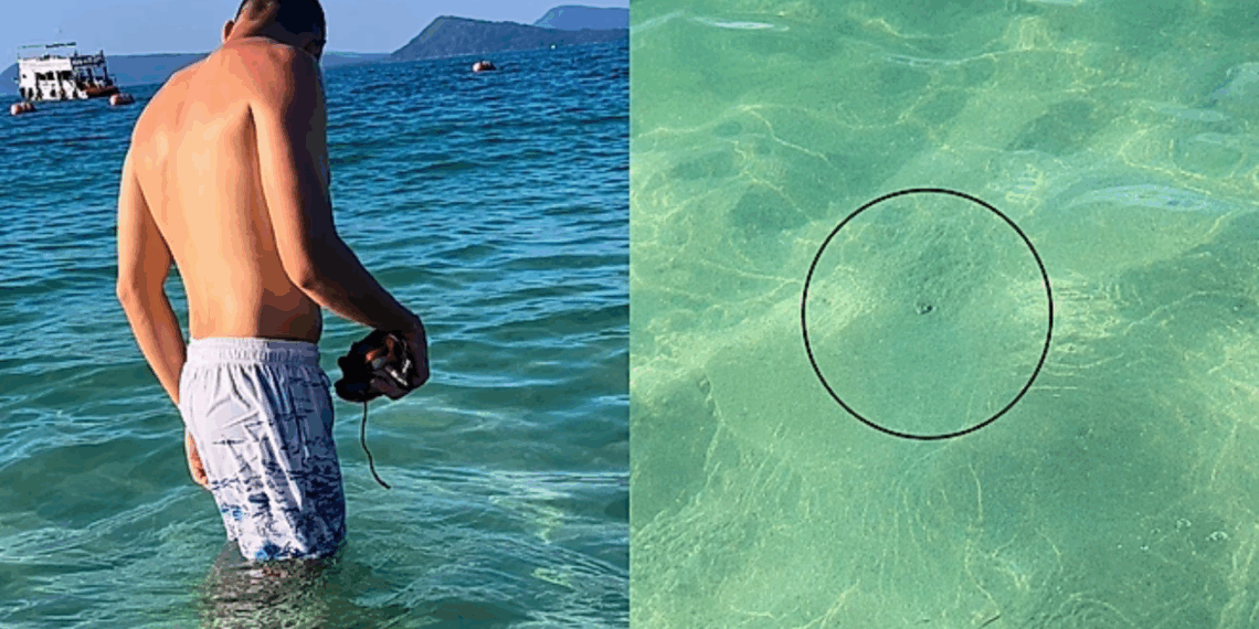 Casal é seguido por peixinho no mar por mais de uma hora e interação curiosa encanta a web