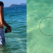 Casal é seguido por peixinho no mar por mais de uma hora e interação curiosa encanta a web