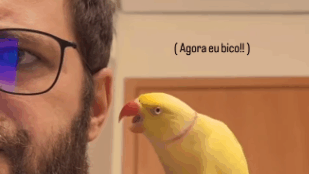 Passarinho carente não aceita ser ignorado e arma verdadeiro show para chamar atenção do tutor