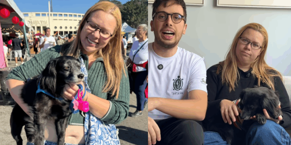 A verdade oculta sobre os lares temporários de ONGs: por que cair nesse "golpe" é o melhor que pode acontecer
