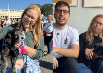 A verdade oculta sobre os lares temporários de ONGs: por que cair nesse "golpe" é o melhor que pode acontecer