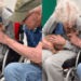 “Ela encontrou o colo certo”: cadelinha cega conhece senhora de 90 anos em feira de adoção e comove a internet