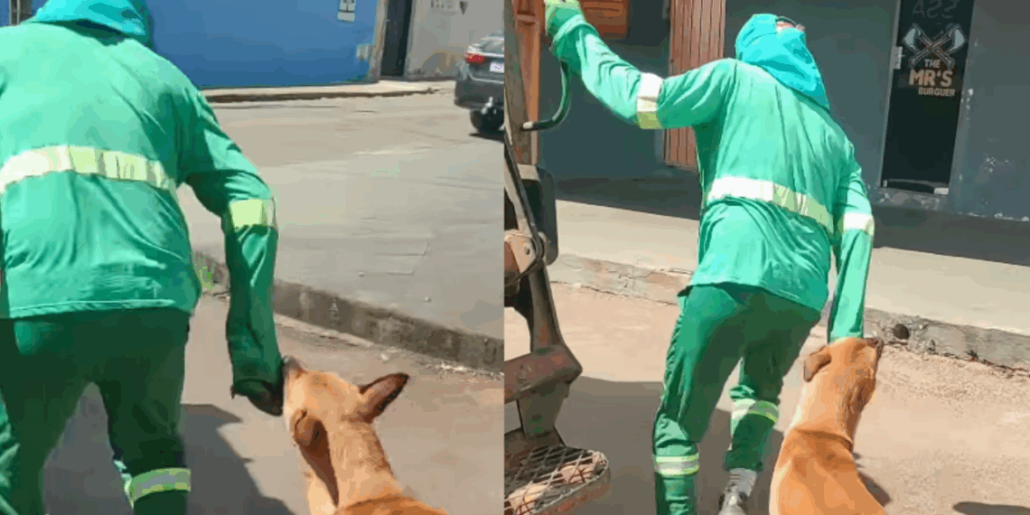 Conheça Mazzaropi, o cachorro "desajudante" de garis que está ficando famoso: "Se não pode ajudar, atrapalhe"