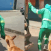 Conheça Mazzaropi, o cachorro "desajudante" de garis que está ficando famoso: "Se não pode ajudar, atrapalhe"