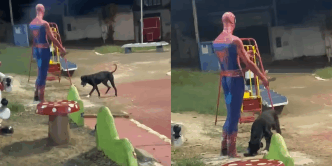 Cão é flagrado convidando estátua de pedra para brincar, até dono perceber o que estava faltando: "Ele queria um amigo"