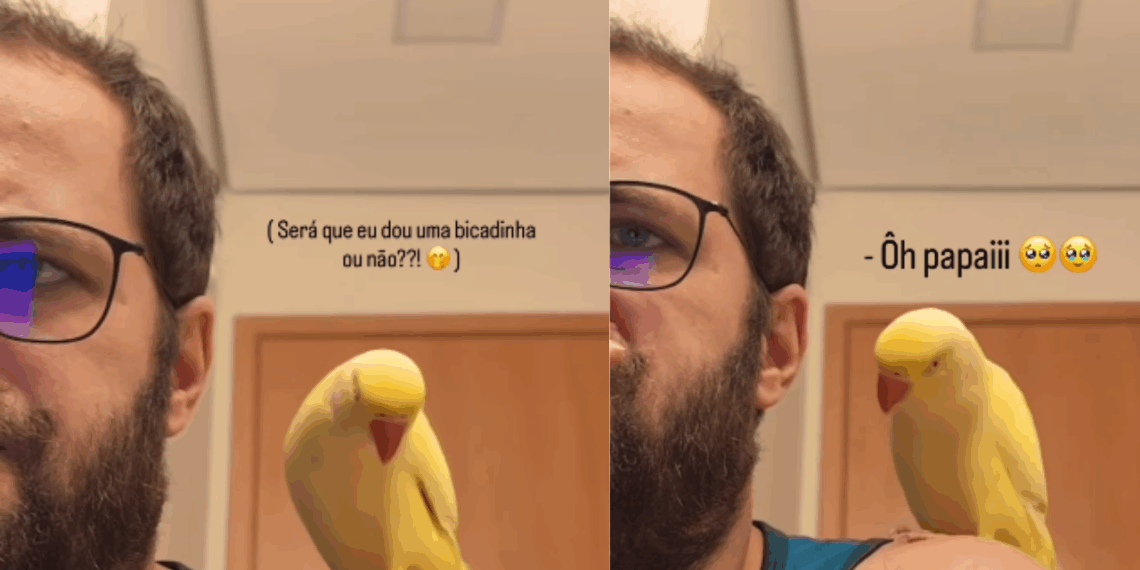 Passarinho carente não aceita ser ignorado e arma verdadeiro show para chamar atenção do tutor