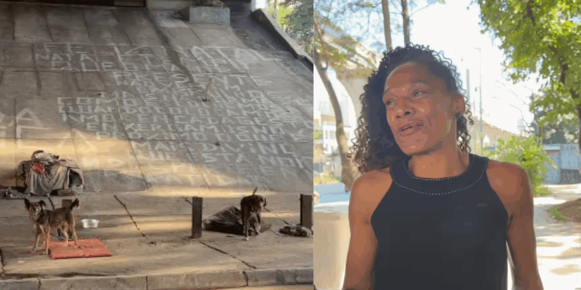 Conheça Mônica, a mulher em situação de rua que construiu uma vila para acolher cães abandonados