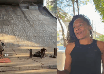 Conheça Mônica, a mulher em situação de rua que construiu uma vila para acolher cães abandonados