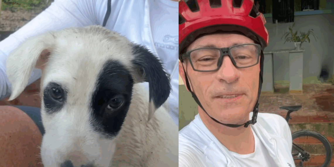 "Amor, o que faço?": ex-ciclista olímpico encontra filhote na estrada e a decisão da esposa emociona
