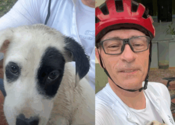 "Amor, o que faço?": ex-ciclista olímpico encontra filhote na estrada e a decisão da esposa emociona