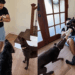 "Falhei como pai de novo": rapaz tenta ensinar cães a serem delicados com bebê, mas o resultado não sai como esperado