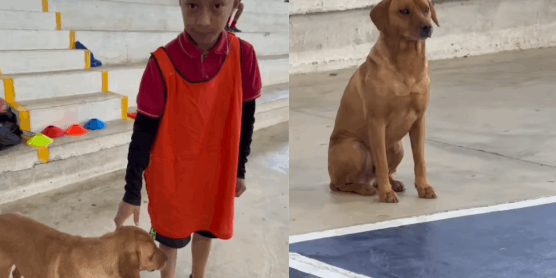 “Esse menino vai se tornar um grande homem”: fotógrafa registra como garoto trata cão que foi assistir ao seu treino
