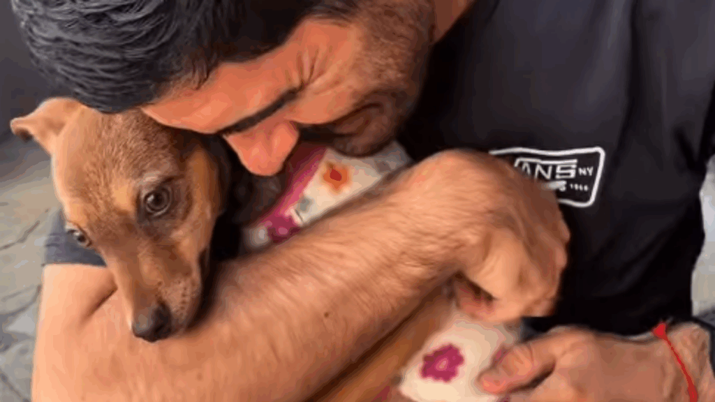 “Talvez nos ensinando que ainda havia amor para dar”: esposa relata como adoção de filhote abandonado curou luto do marido