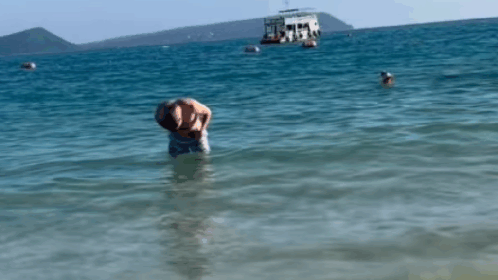 Casal descobre o que é pequeno ponto preto nadando ao lado dos dois e brinca: "Adotados pelo mar"
