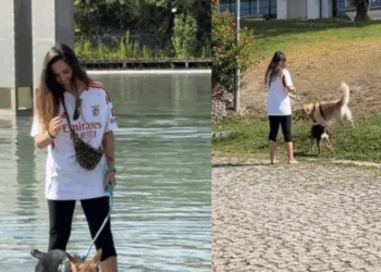 “Falaram que ele pulou e arranhou uma criança”: A revolta de protetora após cão doce e brincalhão ser devolvido por motivo fútil