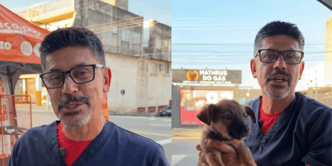 "Sobrou apenas ele": O filhotinho de olhar triste que viu toda a família ser adotada e finalmente recebe a notícia que esperava